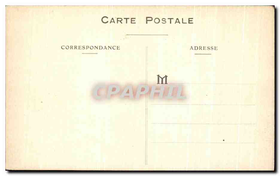 CPA Lourdes Vue Sur la Basilique Vaches — Verso