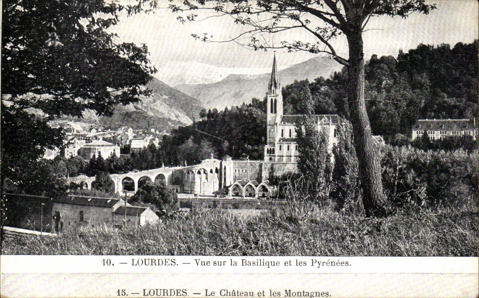 CPA Lourdes Vue Sur la Basilique et les Pyrenees