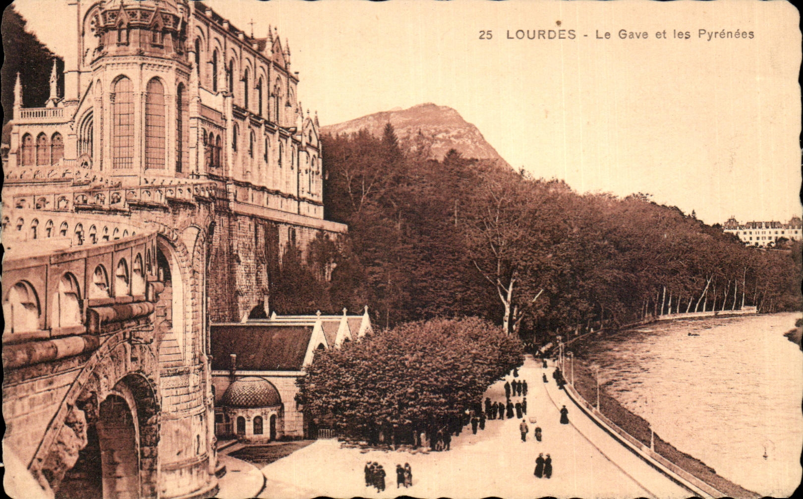 CPA Lourdes Le Gave et les Pyrenees
