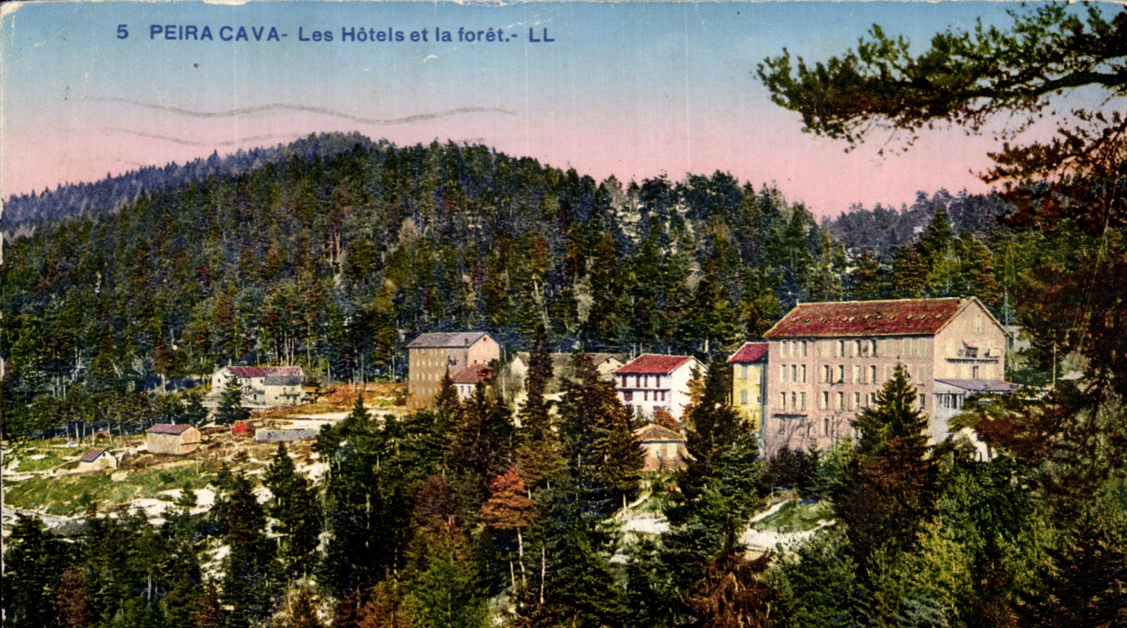 CPA Peira Cava Les Hotels et la Foret