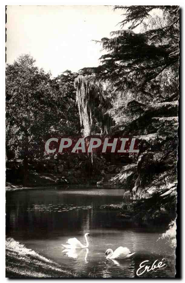 CPSM Nantes Jardin Des Plantes