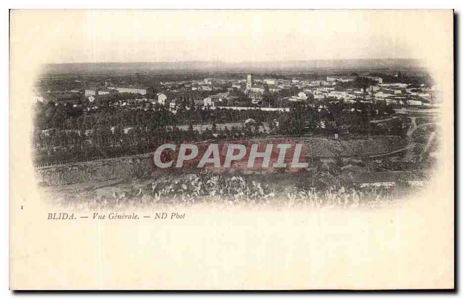 CPA Blida Vue Generale Algerie 