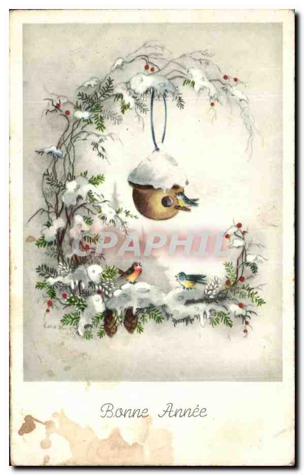 CPA Fantaisie Bonne Annee oiseaux