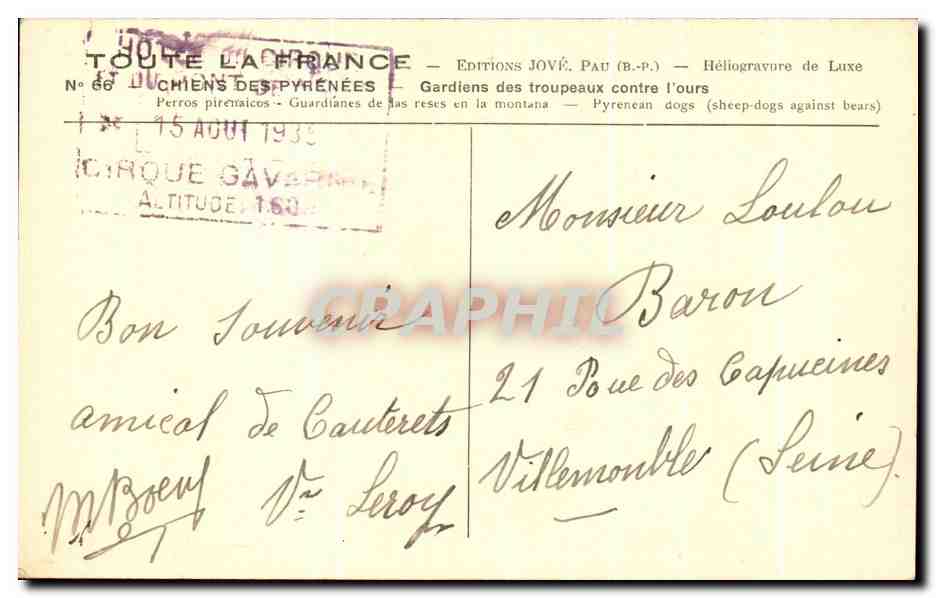 CPA Toute La France Chiens De Pyrenees — Rückseite