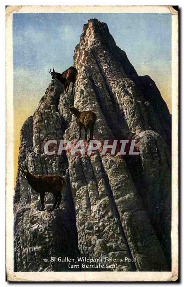 St. Gallen, Wildpark Peter & Paul (am Gemsfelsen) — 15 — Verleger Fritz Zwissler