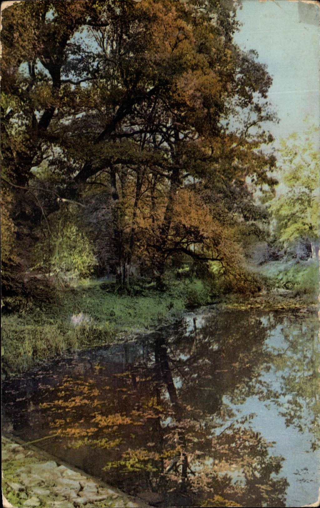 CPA Paysage au bord de l'eau