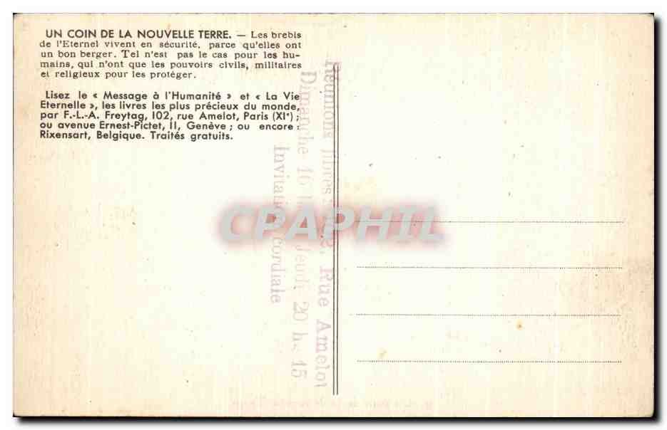 CPA Un coin de la Nouvelle Terre Moutons  — Rückseite