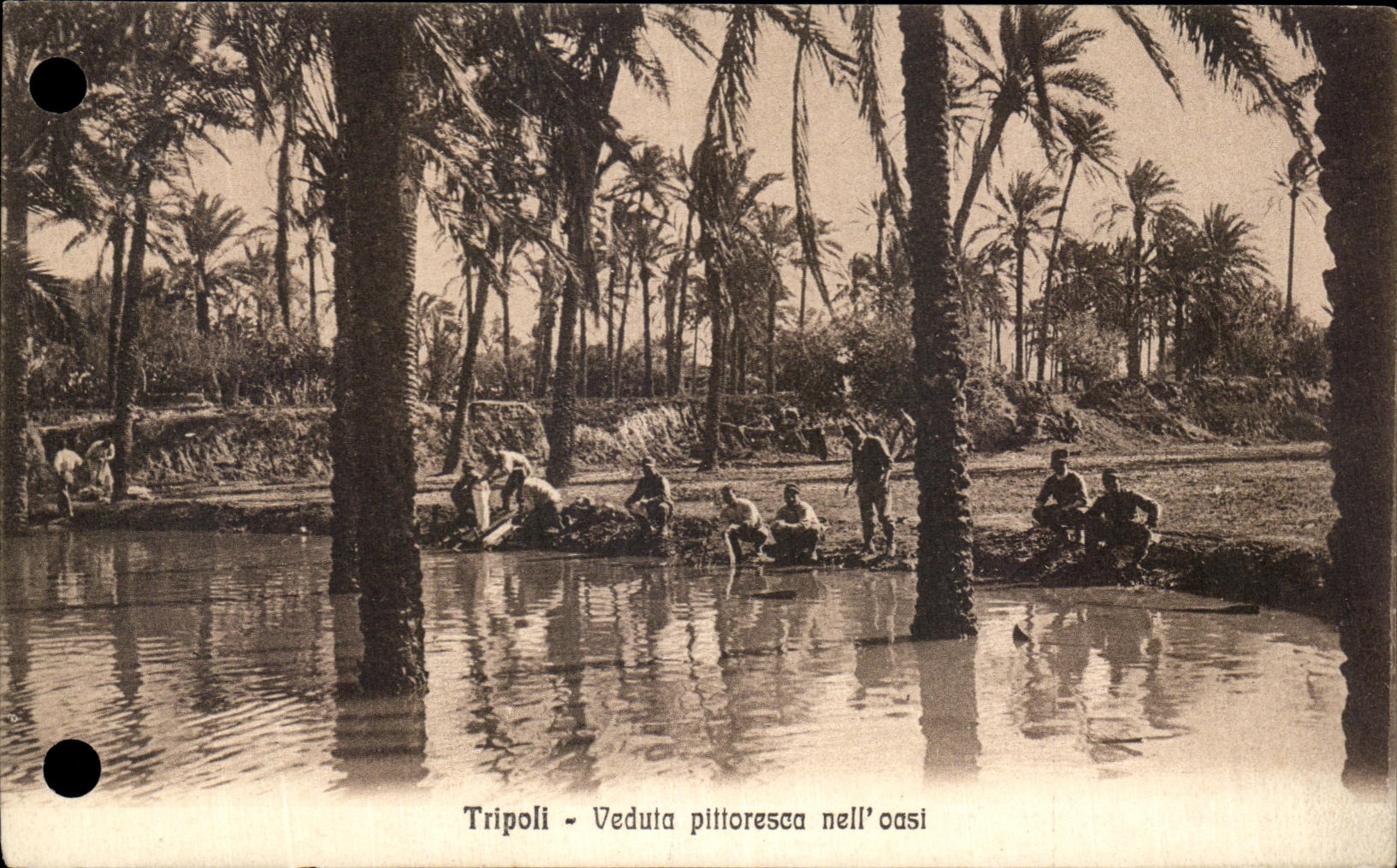 CPA Tripoli Veduta Pifforesca Nell' Oasi Lybie