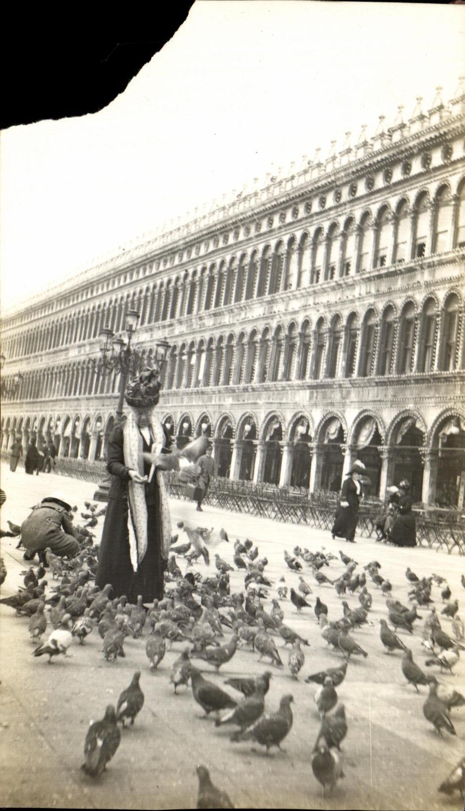 Photo Venise Pigeons 
