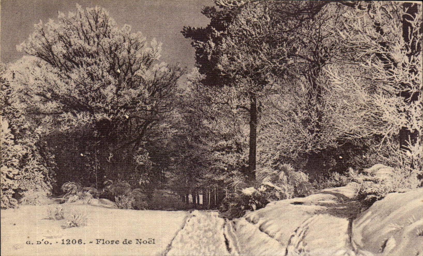 CPA Flore de Noel