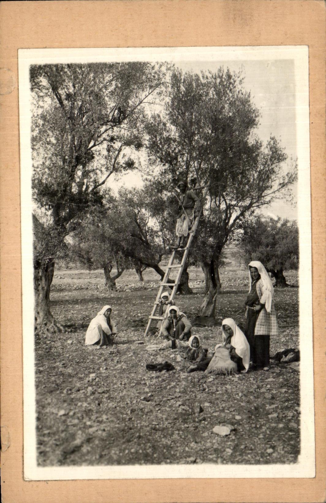 Photo Afrique du Nord Folklore 