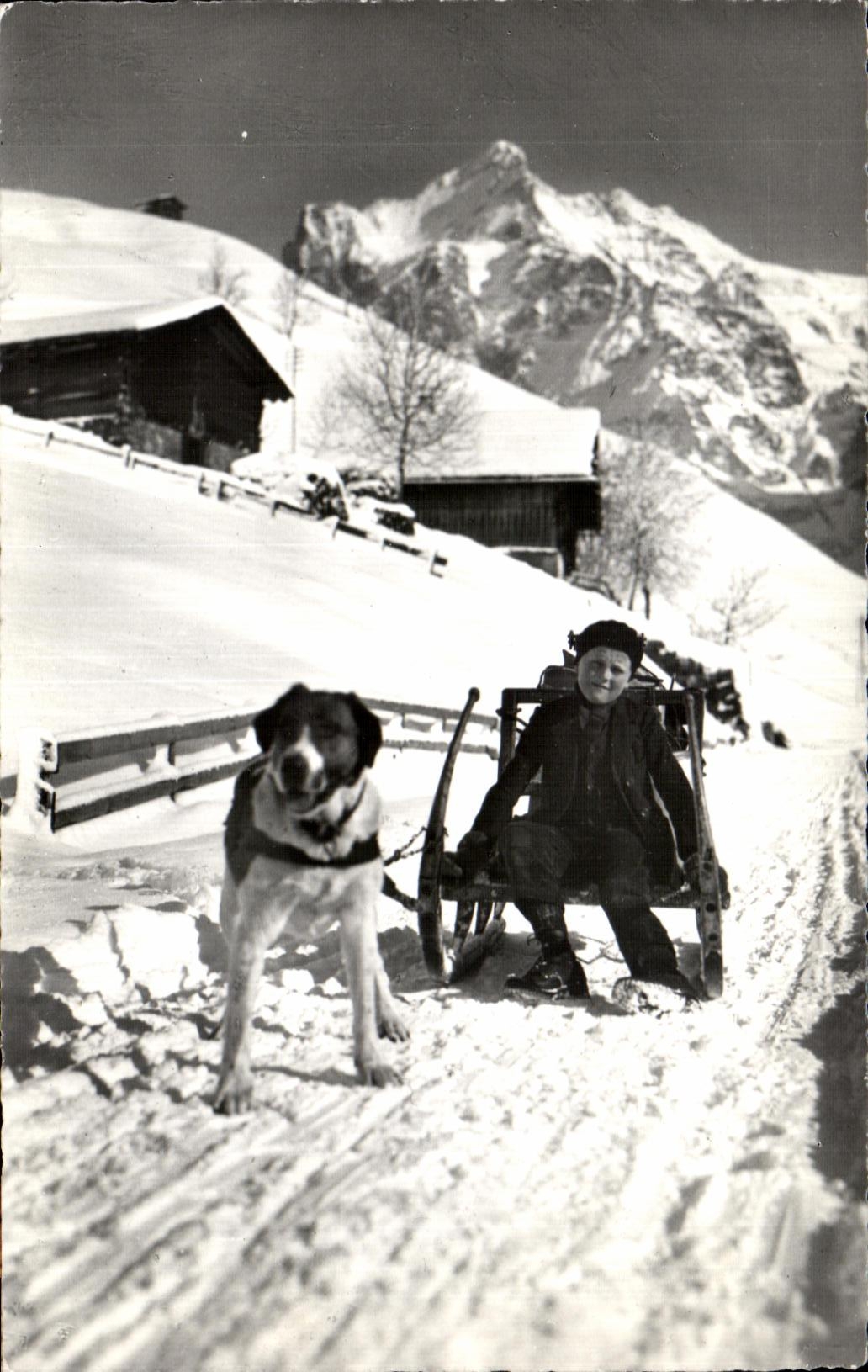 CPSM Milchbueb in Grindelwald Traineau de chien 