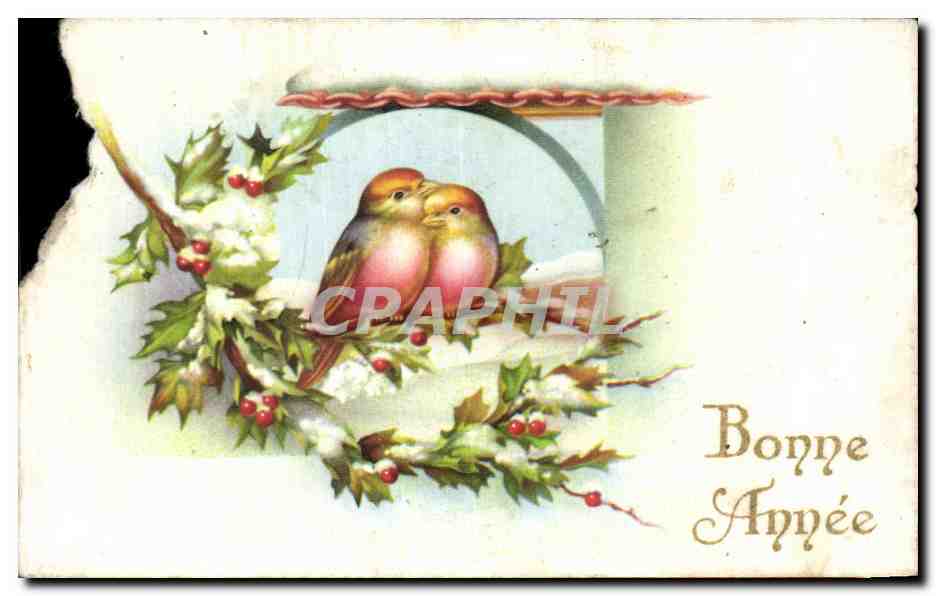 CPA Bonne Annee oiseaux