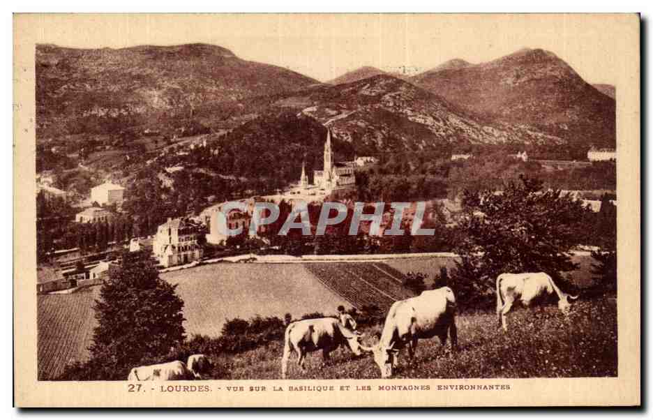 CPA Lourdes Vue sur la Basilique et les montagnes environnantes Vaches 