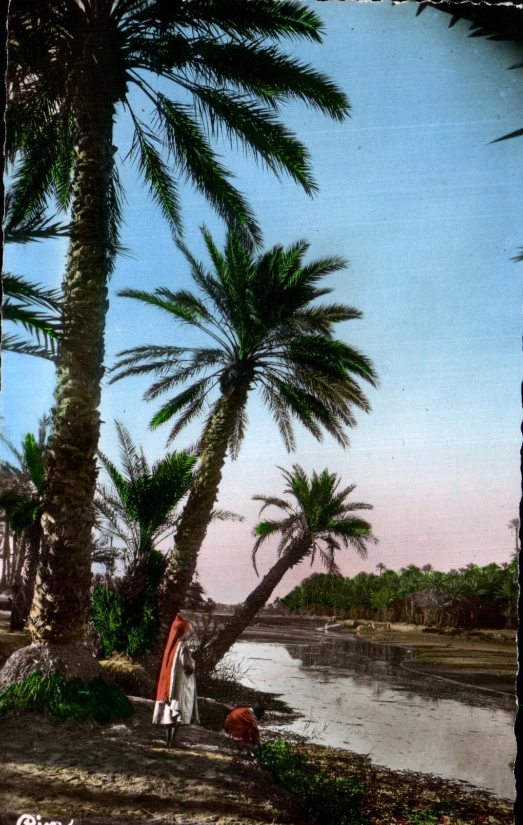 La Rivière — Algérie — Childe R. Protho