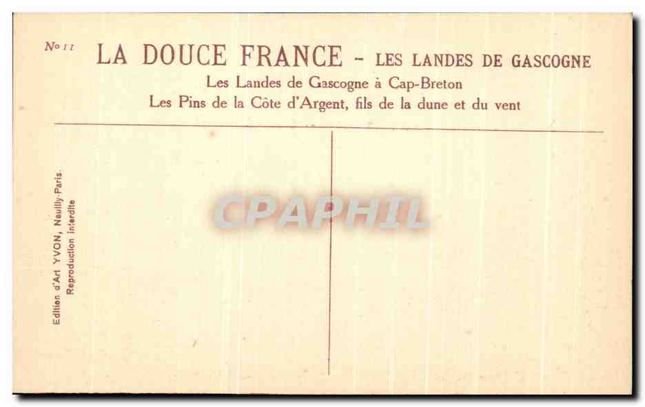 CPA La Douce France Les Landes De Gascogne Les landes de Gascogne a Cap Breton Les pins de la Cote d'argent fils  — Rückseite