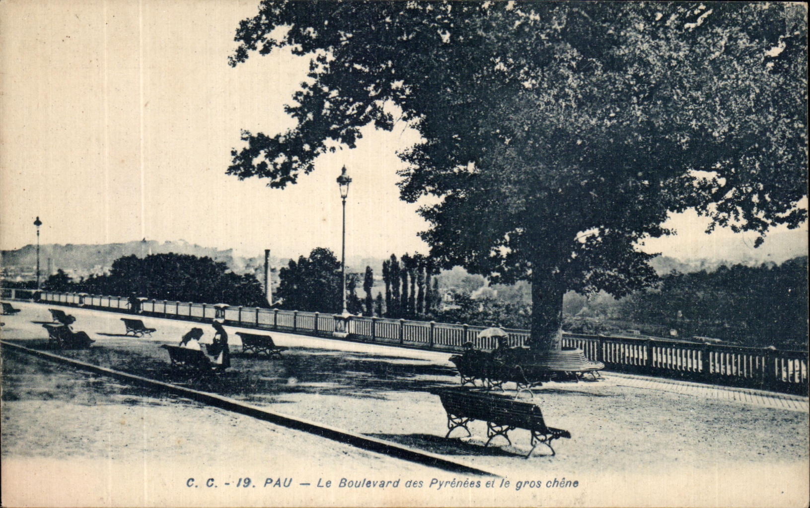 Pau — Le Boulevard des Pyrénées et le gros chêne — C.C. - 19