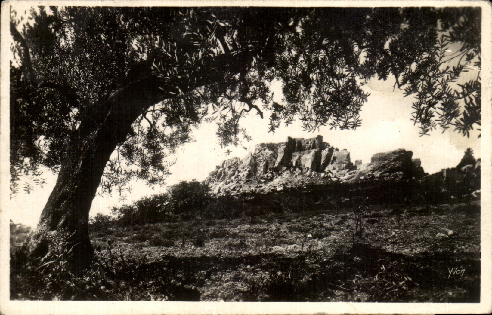 Les ruines du Château à Les Baux (B.-du-R.) — vue à travers les oliviers — Éditions d'Art Yvon