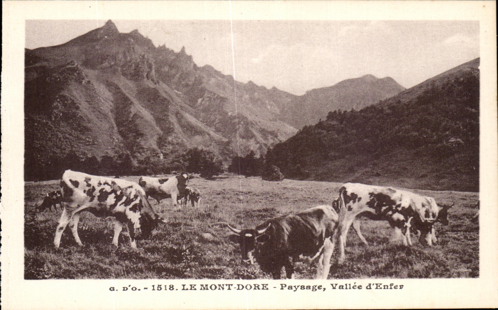 CPA Le Mont Dore Paysage Vallee d'Enfer Vaches 