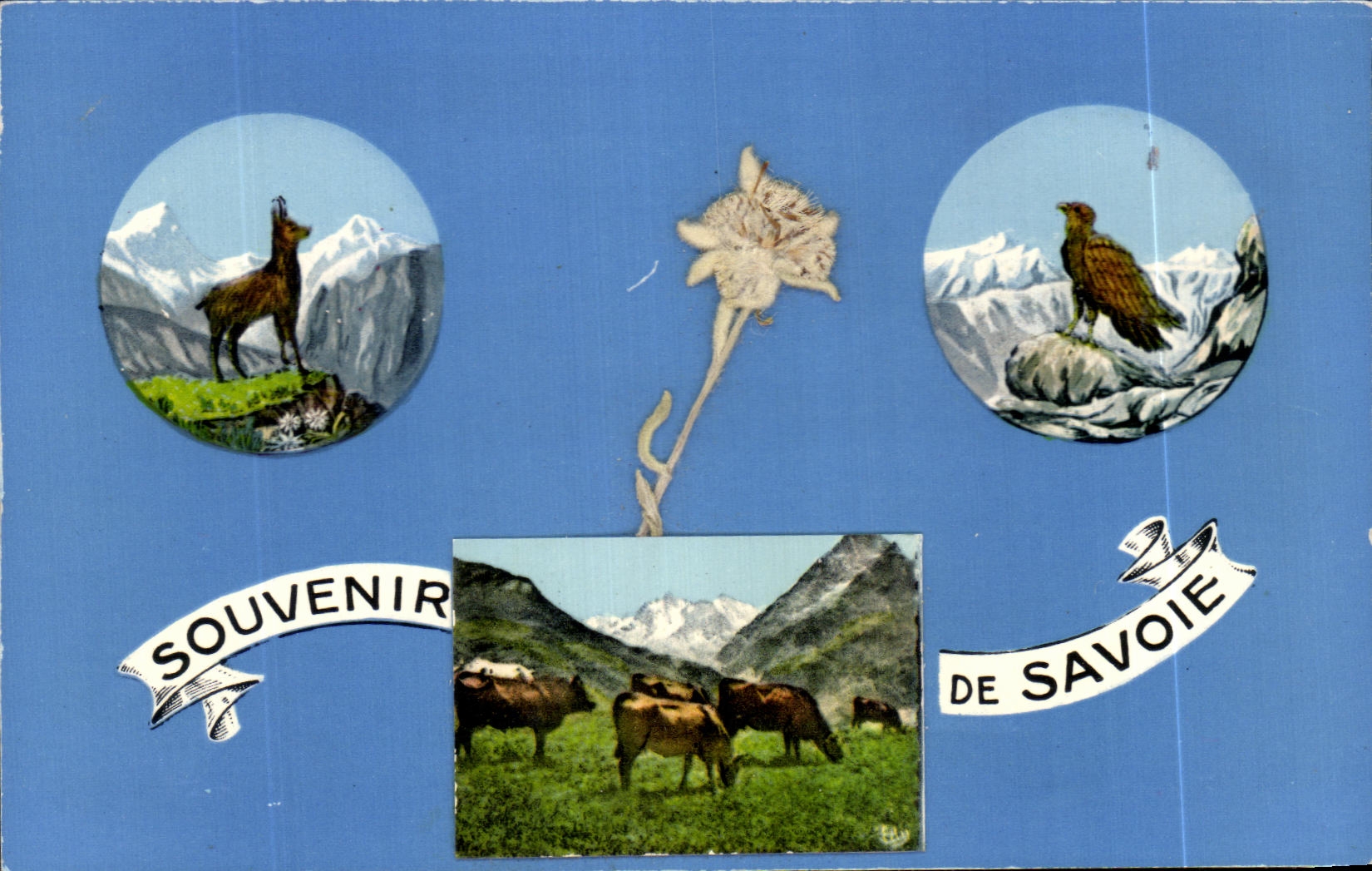 Savoye — Souvenir de Savoie — Éditeur non visible