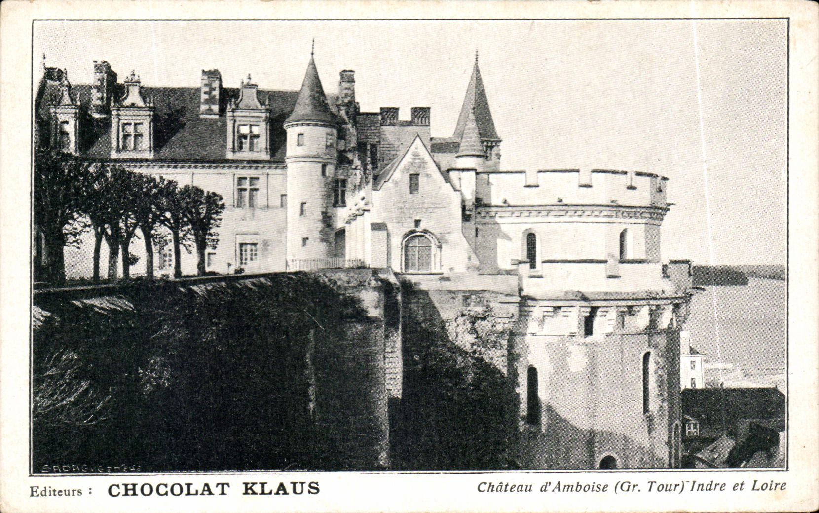 CPA Chateau d'Amboise Indre et Loire