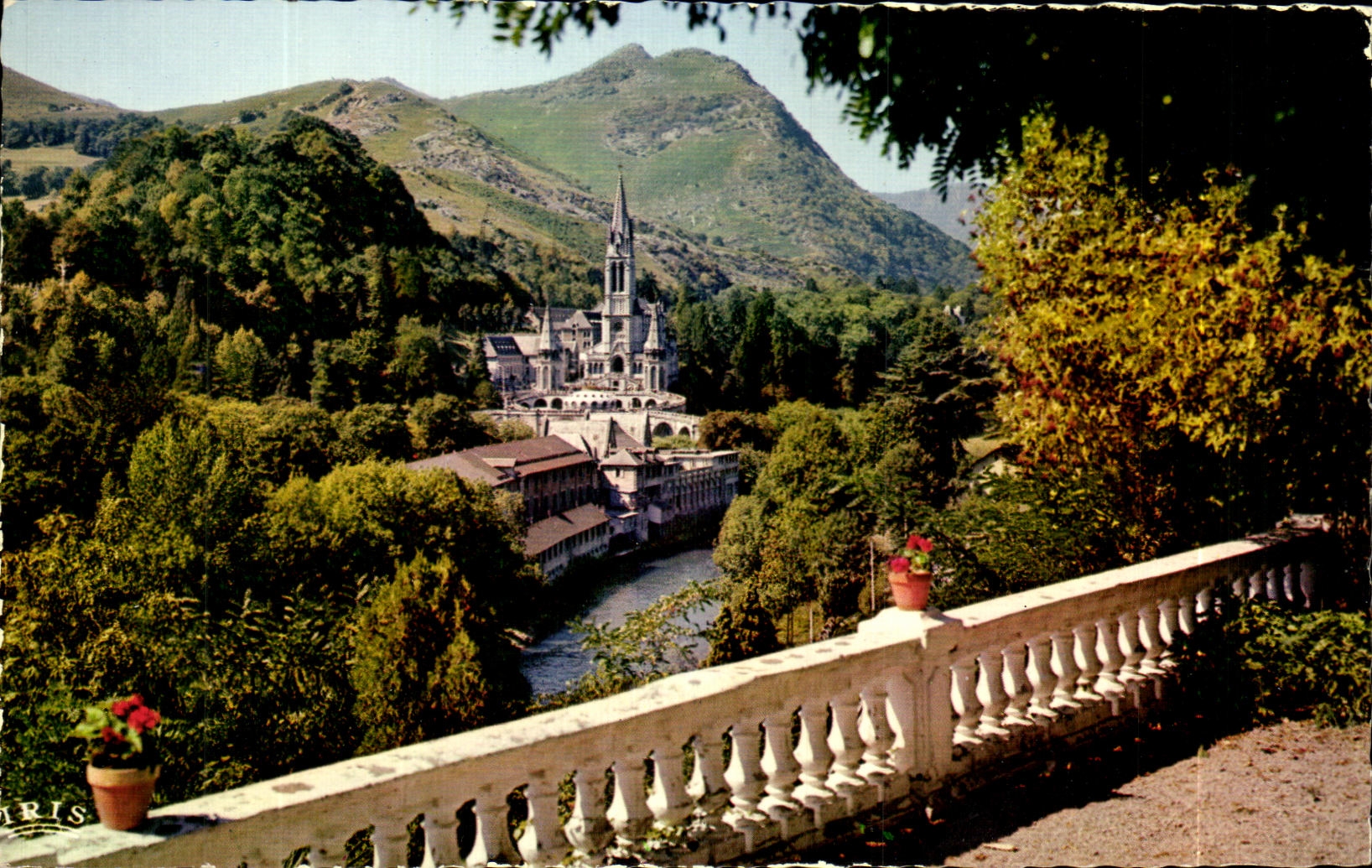 CPSM Lourdes La basilique et le Gave 