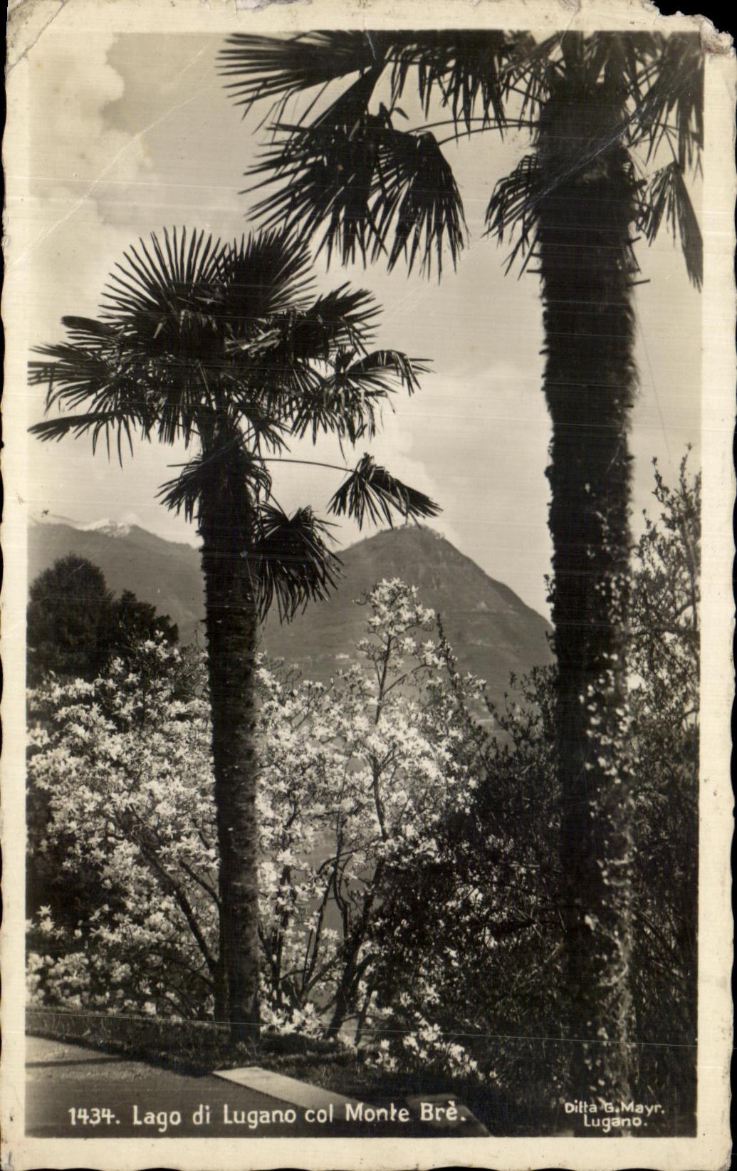 CPA Lago di Lugano col Monte Bre