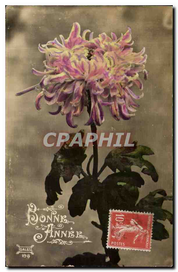 CPA Fantaisie Fleurs 