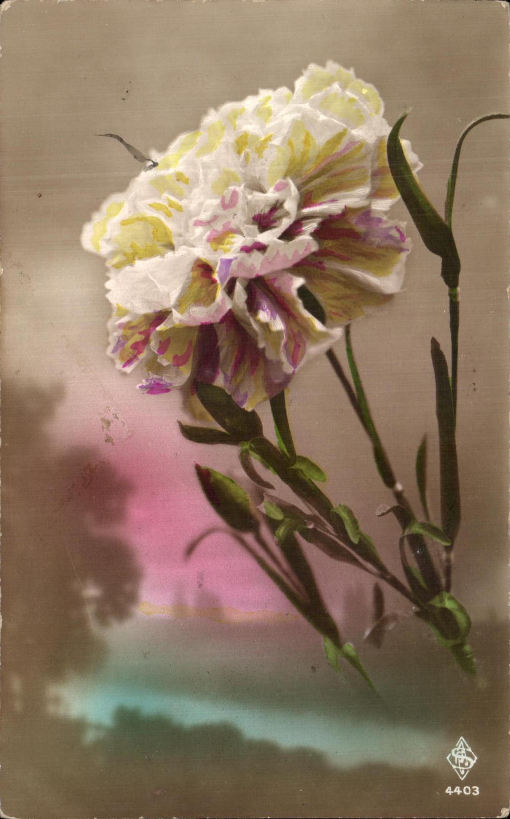 CPA Fantaisie Fleurs 