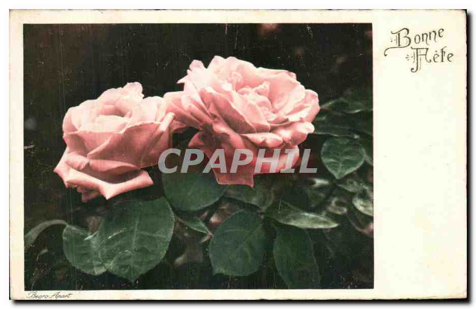 CPA Fantaisie Fleurs 