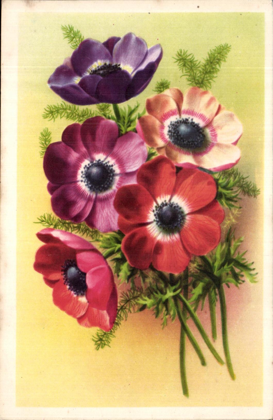CPA Fantaisie Fleurs 