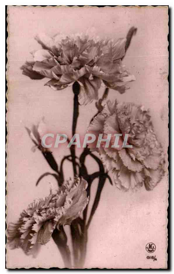 CPA Fantaisie Fleurs 