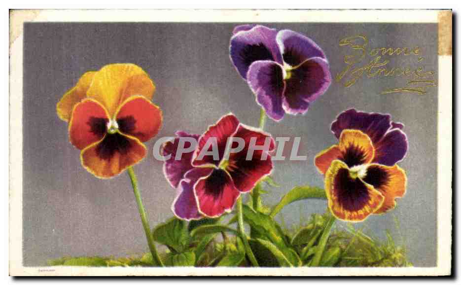 CPA Fantaisie Fleurs 