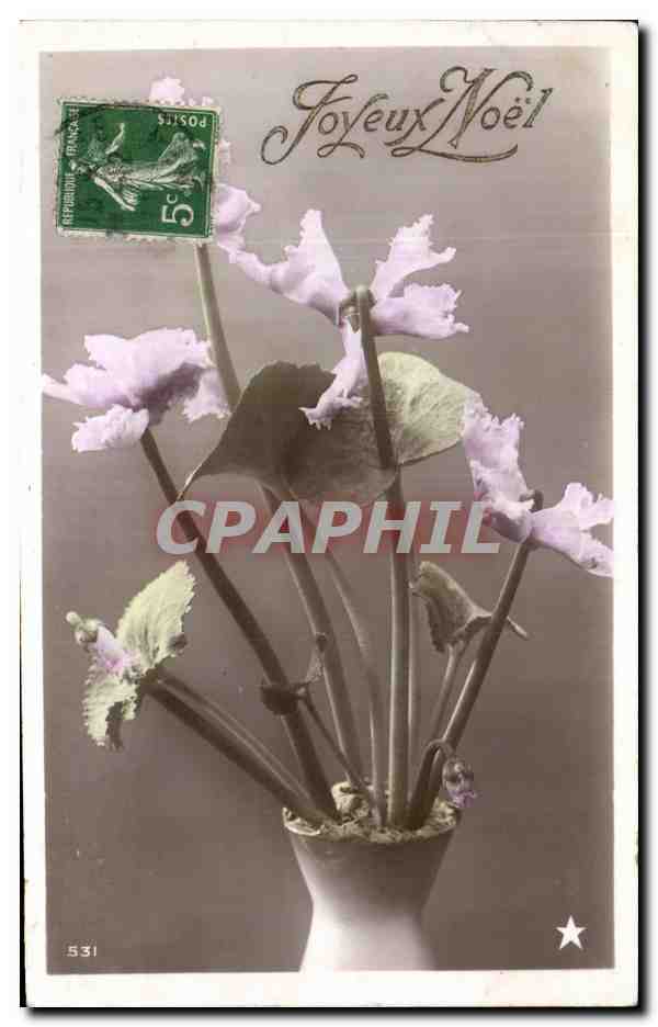 CPA Fantaisie Fleurs 