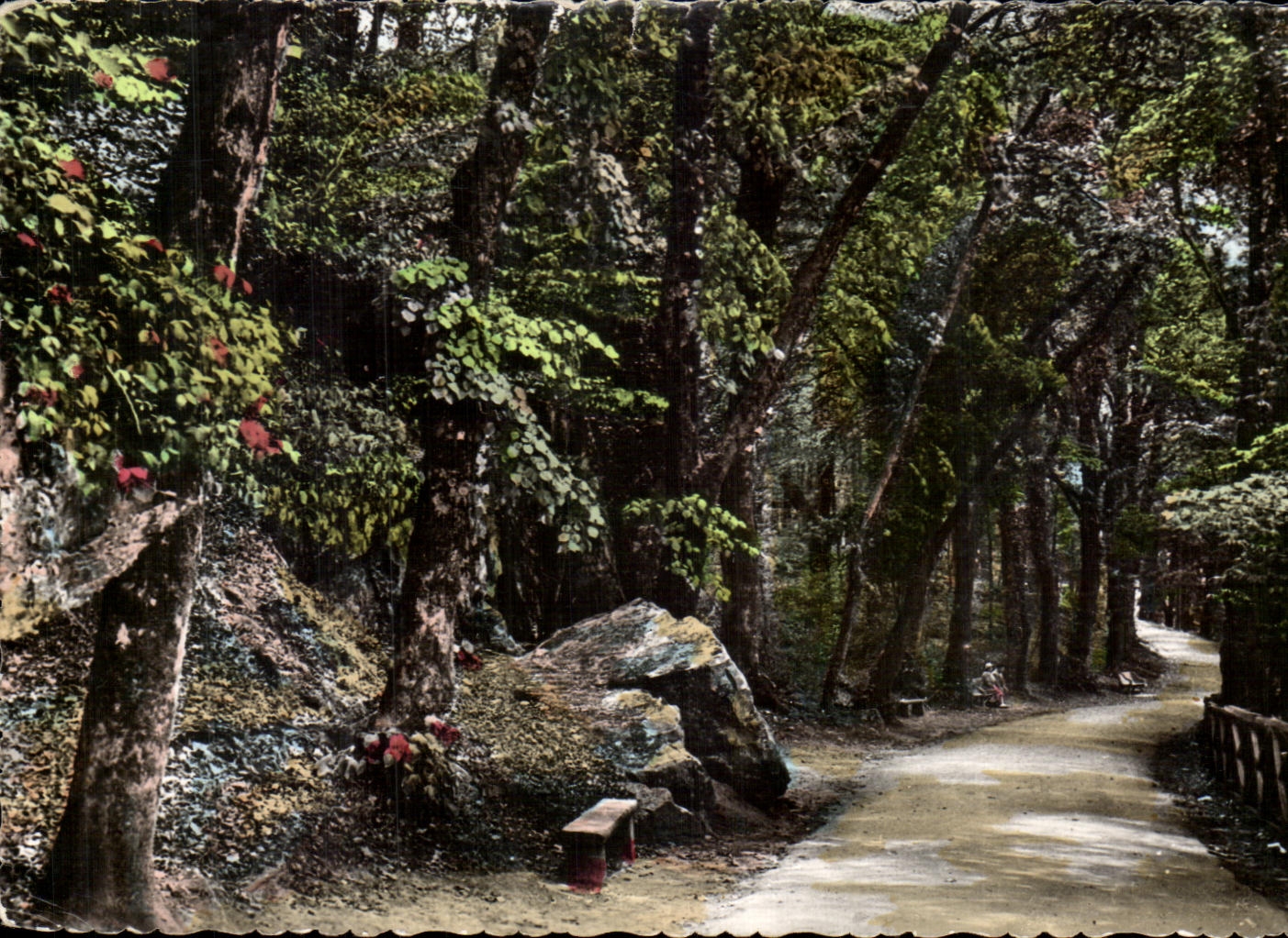 Bagnolles-de-l'Orne — Allée du Donte — Ediciones Gaby