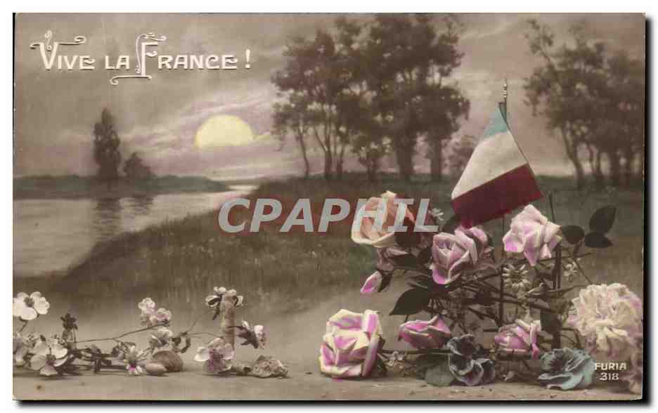 CPA Vive La France Fleurs 