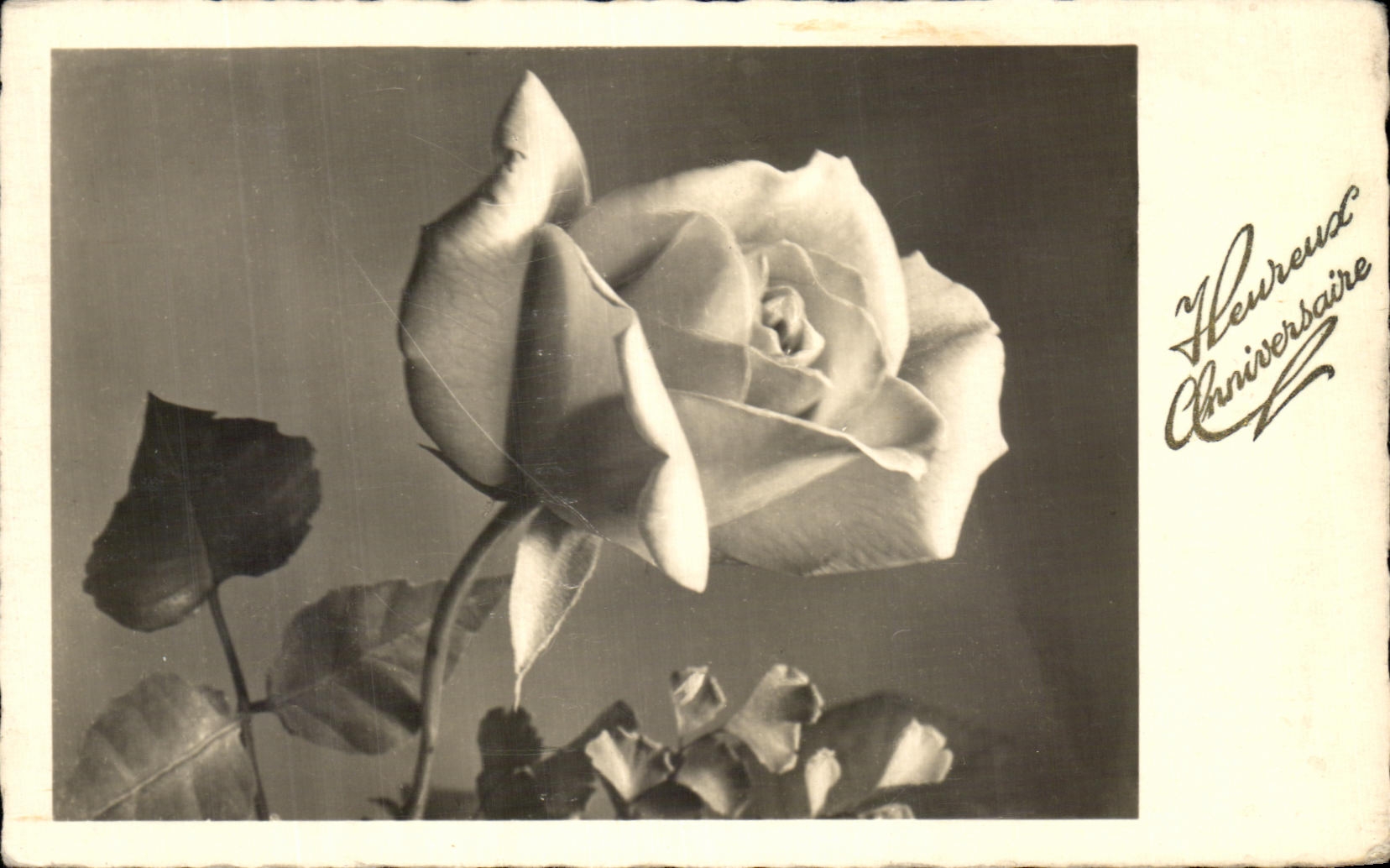 CPA Fantaisie Fleurs Rose