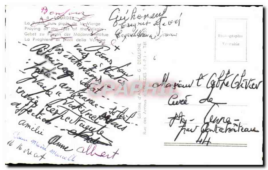 CPSM Lourdes La Priere Aux Pieds De La Vierge  — Verso