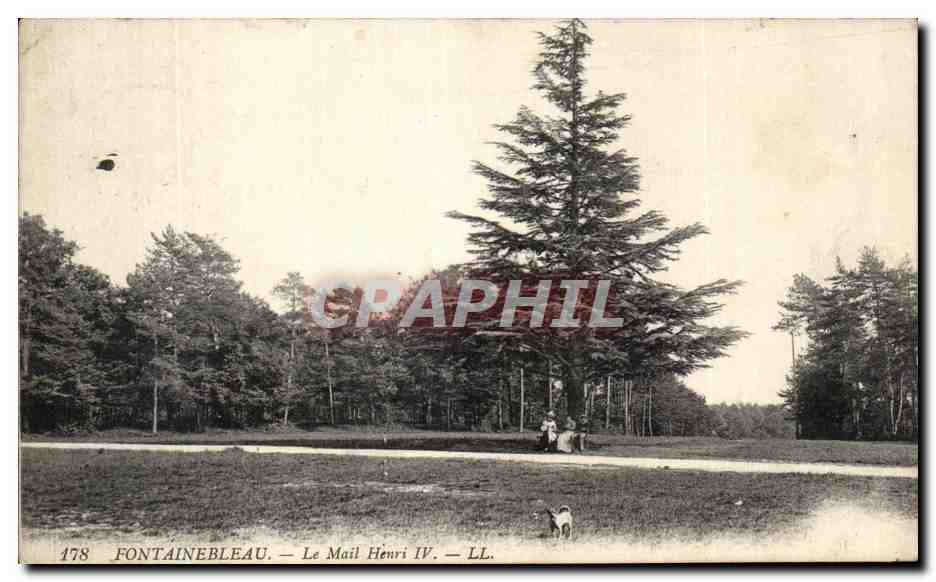 Fontainebleau — Le Mail Henri IV — LL. — n° 178