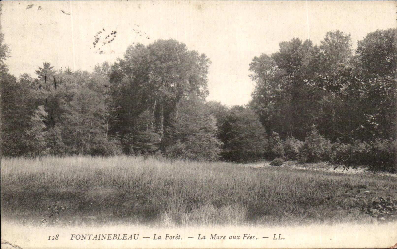 Fontainebleau — La Foresta — La Mare aux Fées — LL. — n° 128