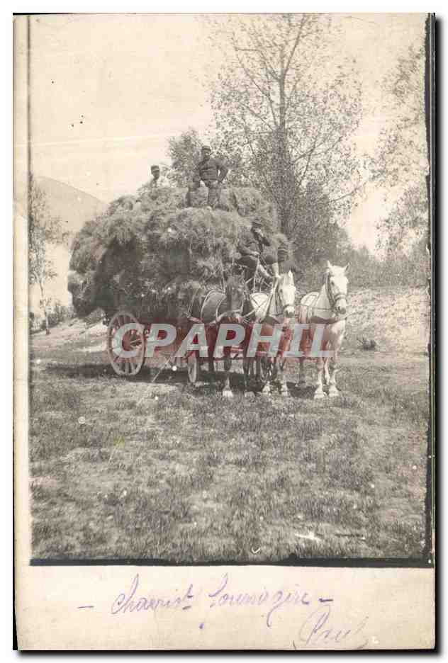 CARTE PHOTO Chariot Fouragere Chevaux 