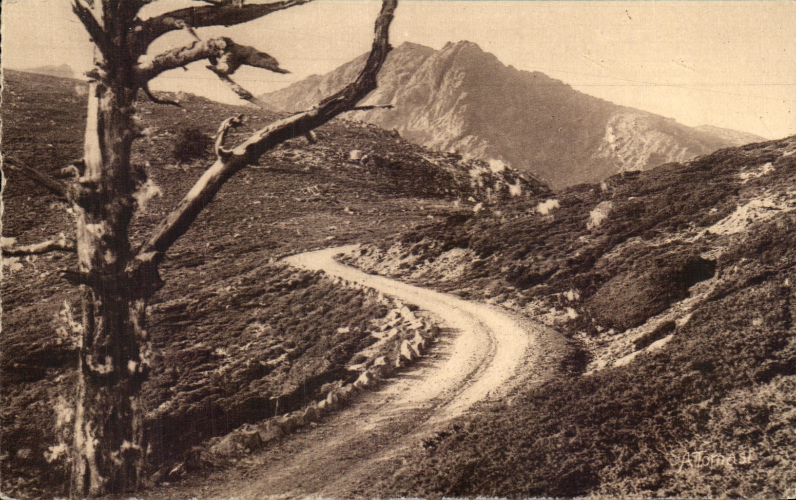 CPA Col de Vergio Corse Corsica