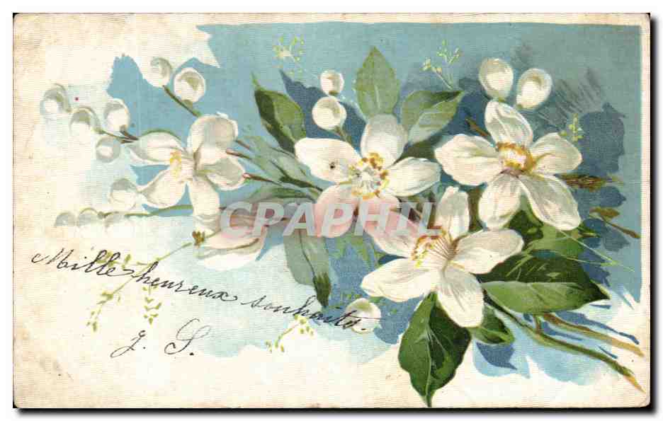 CPA Fantaisie Fleurs 