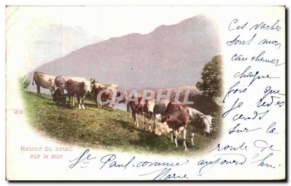 CPA Retour Du Betail Sur Le Soir Vaches