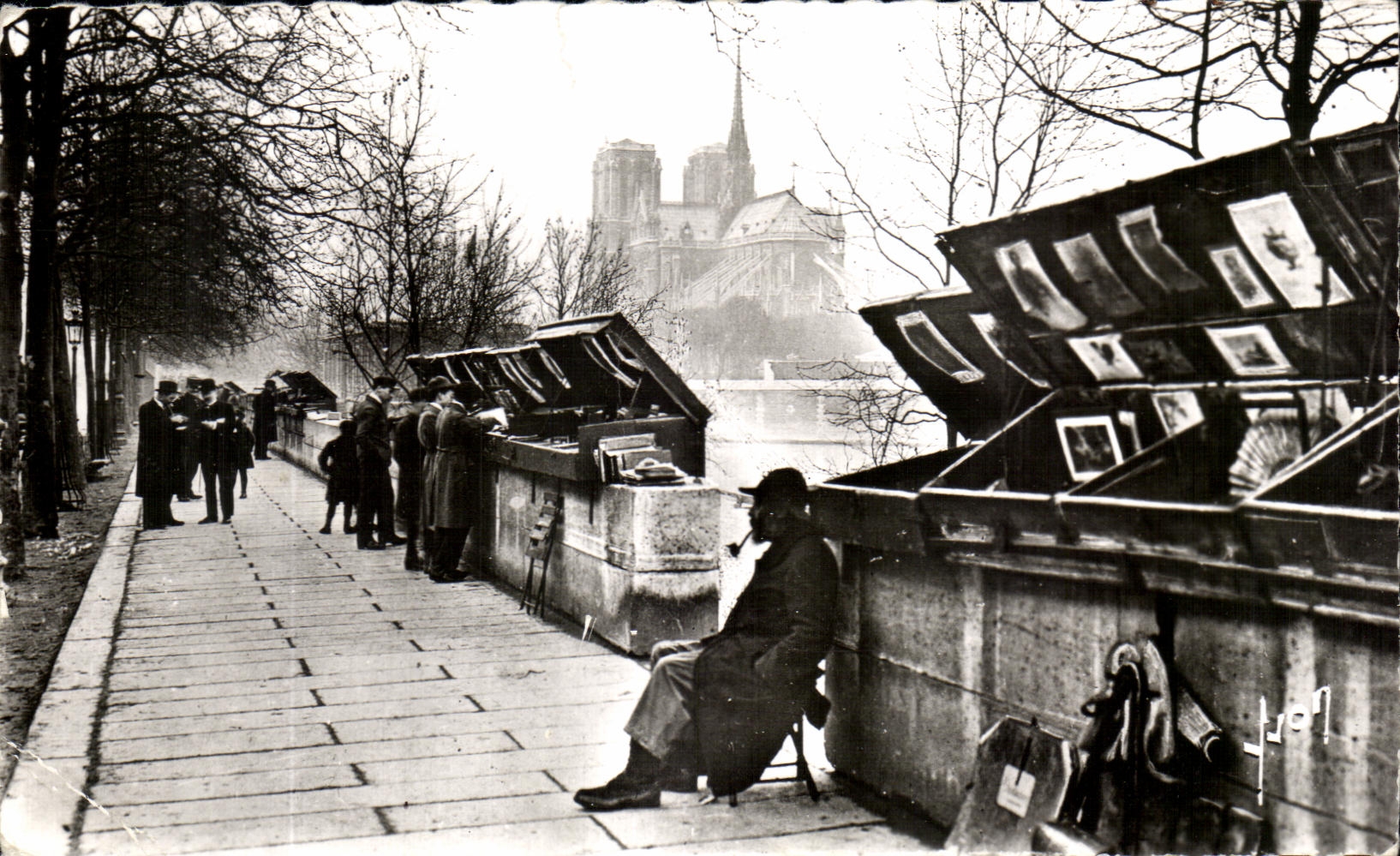 CPA Paris Les bouquinistes du quai de la Tournelle 