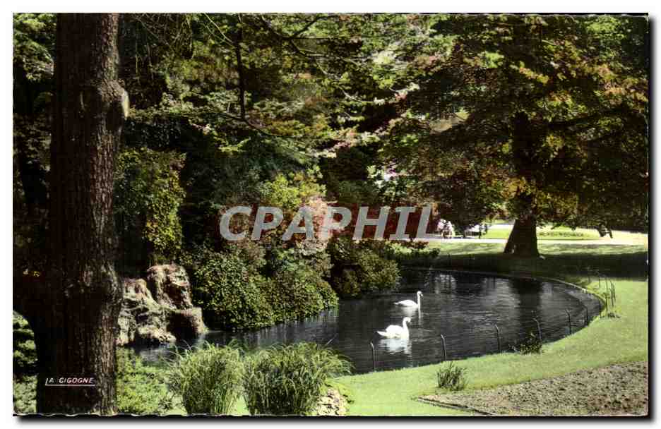CPA Rouen Les Cygnes du Jardin Solferino
