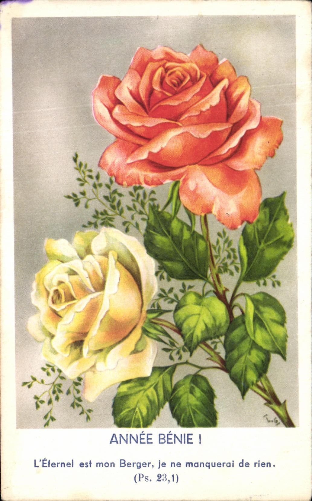 CPA Fantaisie Fleurs Roses