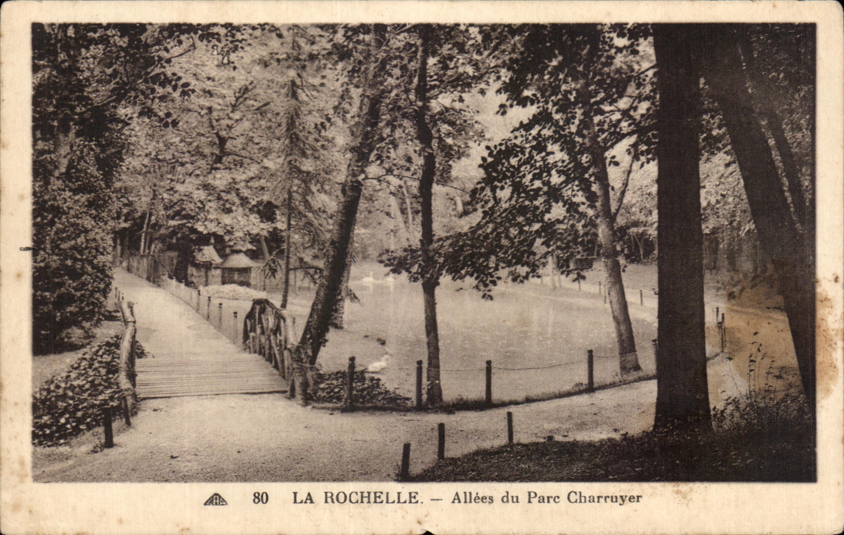CPA La Rochelle Allees du Parc Charruyer