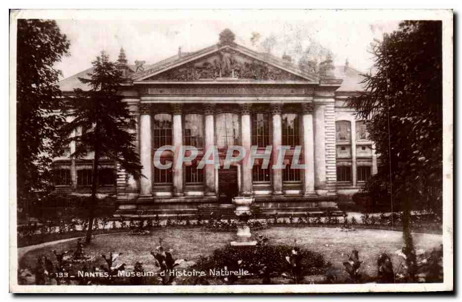 CPA Nantes Museum d'Histoire Naturelle