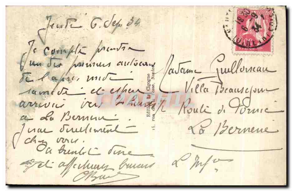 CPA Nantes Museum d'Histoire Naturelle — Verso